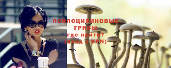 герыч Горняк