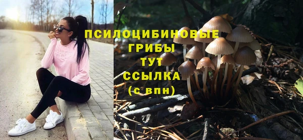 герыч Горняк