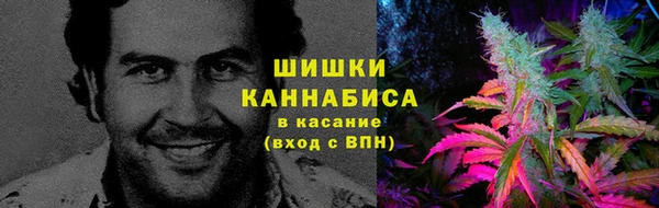 2c-b Горнозаводск