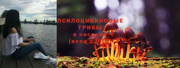 2c-b Горнозаводск